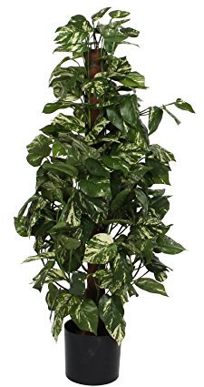 MICA Kunststofftopf Kunstpflanze Scindapsus, Polyester, grün, 45 x 45 x 110 cm, 2-Einheiten