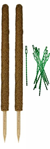 Novatool 2 x Kokostab 110 cm und Baumbinder I Befestigung Moosstab Pflanzenhalter I Rankhilfe Zimmerpflanzen Stütze
