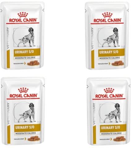 Royal Canin Urinary S/O Moderate Calorie | Viererpack | 4 x 12 x 100 g | Nassfutter für Hunde | Zur Unterstützung bei Struvitsteinen und zur Verringerung von Struvitsteinrezidiven