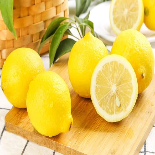 50 piezas semillas resistentes de limonero - exóticas resistentes, Los enanos son salada de jardin pequeño