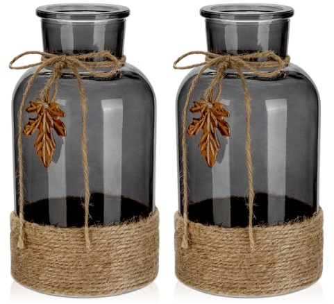 Glasvase Zylindrisch Vasen Glasfläschchen Boho Dekovase Blumenvasen Tischvasen,H 20CM (2 St), Väschen für Tisch Hochzeit Fensterbank Dekoration