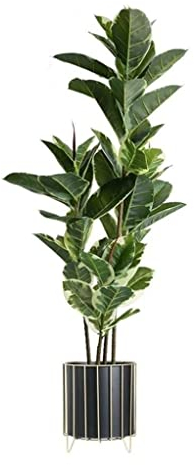 CVNIMV Kunstpflanzen Kunstpflanze Nordic Greenery Plant Kunstbaum Pflanze Gummibaum Indoor Bonsai Kunstbäume Grünpflanze Home Office Dekoration Artif
