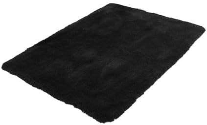 UKCOCO Tapis de Chambre Noir Facile à Installer et Utiliser Moderne en Polyester Design Simple et Élégant pour Salon et Aire de Jeux pour Garçon et Filles