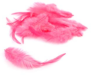 3g Hahnenkreuz Federn ca. 8-13cm (pink 156) // Dekofedern Bastelfedern Federn Hahn Natur Schmuckfedern Vogelfedern Hahnenfedern