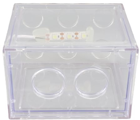Fischbecken Aquarium Fish Tank Mini Aquarium USB LED Light Fish Tank Aquarium Decor for Box Office Tea Table(Transparent)