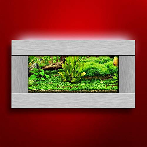 Aussie Aquarium 2.0 View Slim Wall Mounted Fish Tank Kit | 2 Gallon, 4.5 Deep | LED Light, Filter, Decor Kit, Easy Setup