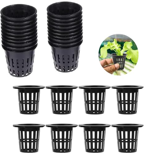 RXKFIGX 60 vasi a rete idroponica, 5 cm, per piante idroponico, da giardino, in plastica