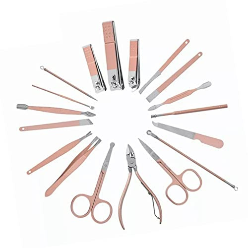 Brrnoo Caquelas de Clavos de Acero Inoxidable Juego de Pedicura de Manicura Portátil para Cuidados Faciales Cejas de Recortación de Espinilla con Estuche de Viaje óptimo para Navidad