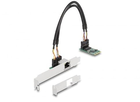 DeLOCK 95272 Carte réseau Interne Ethernet 2500 Mbit/s