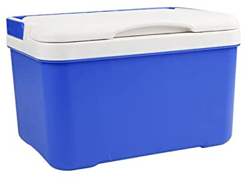 DieffematicBX Mini Frigo 6L Car Fridge Travel Refrigerator Mini Fridges for Car Home Portable Refrigerator Milk Food Carrier with Handle