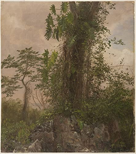 MSTECO Leinwanddruck Und Poster Wandkunst Bild Reproduktion Feigenbaum und wilder Philodendron von Frederic Edwin Church für Wohnkultur 60x90cm