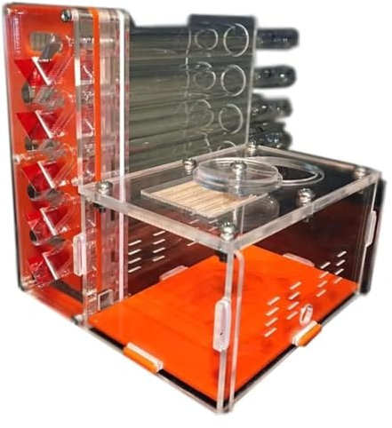 Natürliche Ameisenfarm, Ameisenfarm Ameisenhaus Ameisennest Ameisenfarm 12 Reagenzgläser mit Futterbereich Haustierinsekt Ameisenhaus Werkstatt Ameisennest Ameisenfarm for Ameisen