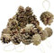 Christmas Pine Cones Decoration with String, Natural Rustic Pinecones Bulk Ornaments for Crafting for Home Accent Decor, Fall Thanksgiving Tree Fall Party Craft (30PCS)