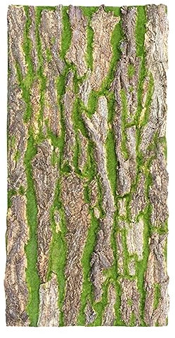 Konstgjord Mossa Matta Konstgjord Mossbark, Falsk Mossa Vägg | Reptil Terrarium Bakgrund, Simulering av Falsk Mossa för Hantverk, Heminredning Kork Mossa Matta (Size : 50x100cm(19 3/4 x 39 3/8in))