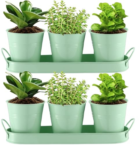 Hicarer 2 Sets Herb Planter with Tray Metal Herb Garden Planter with Drainage Farmhouse Windowsill Pots for Indoor Plants Flower Succulent Outdoor Kitchen Apartment Balcony Window (Green)