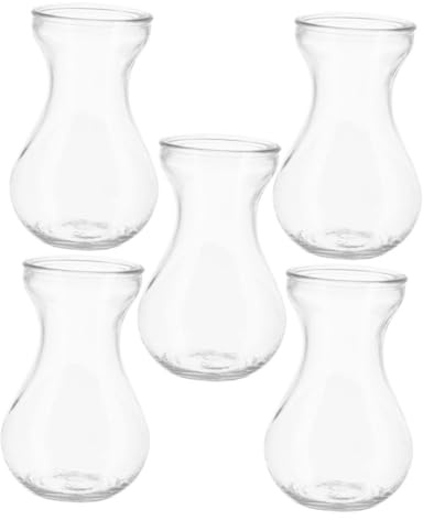 LIFKICH 5 Pieces Glass Bud Vases for Centerpieces Small Hydroponic Desktop Flower Pots Creative Simple Plant Terrariums for Office Home Decoration