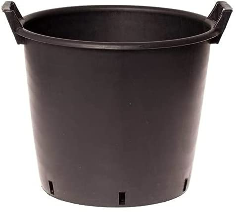 Muddy Hands Heavy Duty Large Plastic Plant Pot with Handles Outdoor Garden Vegetable Salad Flower Tree Planter Container (1, 30 Litre)