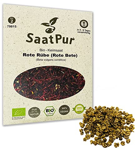 Rote Rübe BIO Keimsprossen von SaatPur - Sprossen, Microgreens - 30g Rote Bete
