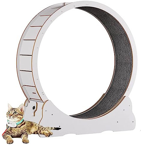 Oiyekntd Katzenrad -Übende für Innenkatze, Verbessertes Katzenlaufrad mit Katzenkratzer, großes Katzen-Laufband-Katzen-Katze-Gehen mit Stiller Landebahn und No-Gap-Design,White-L