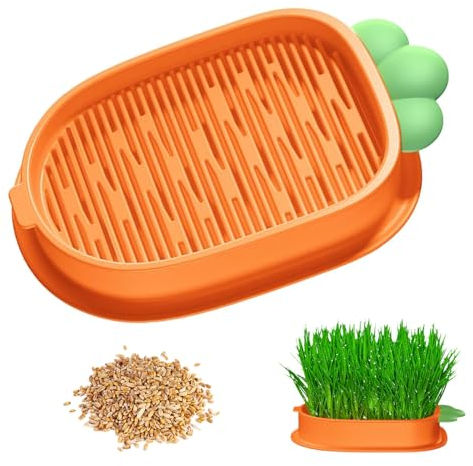 GUOYOU Hydrokultur-Gras-Tablett Katzengras Keimschale, Pflanzer Hydroponics Pflanzschalen für Katzengras Keimschalen, Seed Sprouter mit 5 Packungen Katzengras, Soil-Free, für Garten Home Office