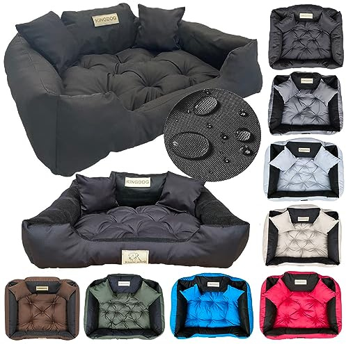KING DOG Hundebett M 75 x 65 cm für mittelgroße Hunde mit 2 Kissen | Angenehme Polsterung, robuste Materialien, stabile Form und komfortabler Liegebereich
