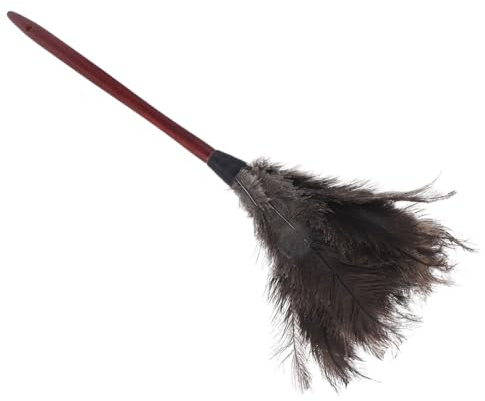 Cabilock Plumeau Réutilisable avec Manche Duster à Main Grand Format pour Nettoyage de Plafonds Murs Meubles et Intérieur de Véhicules