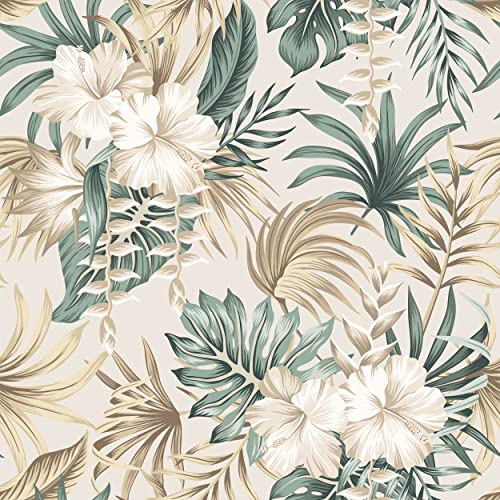 decomonkey Fototapete selbstklebend Tapetenrolle 10 m, Pflanzen, Laub, Grau | Natur, Blätter, Beige, Monstera, Palme, Tapete, Vliestapete, Deko Panel, Modern, Design, Wanddeko, Wohnzimmer, Schlafzimmer