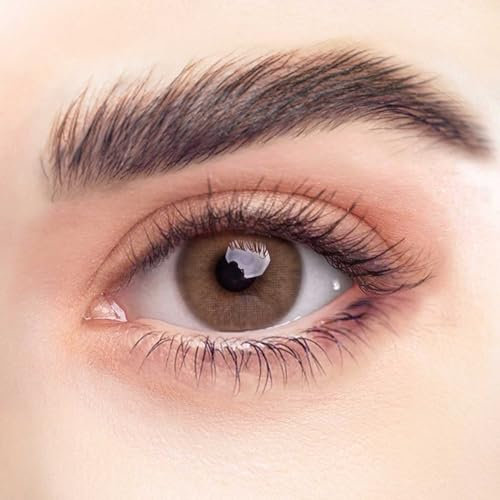 REHLEIN farbige Kontaktlinsen - HASELNUSS - 2 Stk. inkl. gratis Behälter - braune Kontaktlinsen - farbige Monatslinsen - natürliches Design - hohe Deckkraft (HASELNUSS, 1 Paar (2 Stück), -1.00)