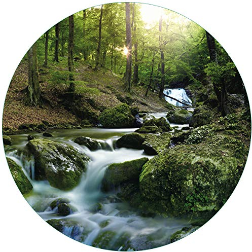 Wallario Glasbild rund Fließender Bach im Wald bei Sonnenuntergang - Rund, 50 cm Durchmesser Wandbild Glas in Premium-Qualität: Brillante Farben, freischwebende Optik