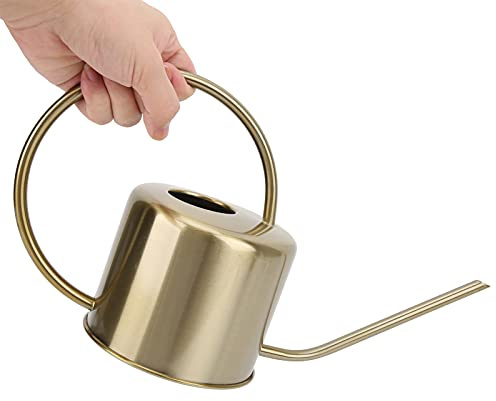 Vattenkanna i rostfritt stål, 1300 ml/43 oz Trädgårdsarbete inomhusväxter Sprinklerkruka med lång pip för suckulenter Krukväxter Trädgårdsskötsel Dekoration av blomsterskjul