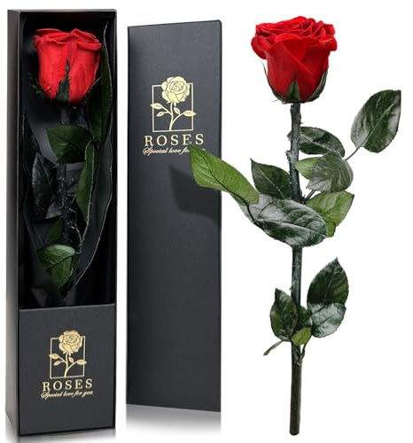 QHHENTOO Infinity Rose in Geschenkbox, Ewige Rose mit Stiel Geschenke für Frauen Echte Rosen Eine Konservierte Blume für Mama Damen Freundin zum Geburtstag Valentinstag Weihnachten Muttertag - Rot