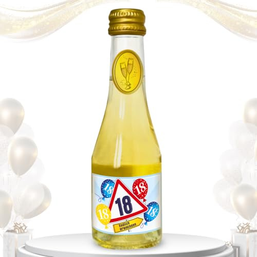 Piccolo Beeren Perlwein zum 18. Geburtstag „Alles Gute“ mit Verkehrsschild und Luftballons – Secco Sekt 0,2L | 8% vol. Alkohol | Geschenkidee zum runden Geburtstag | Cooles Alter