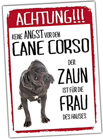 Cane Corso Schild Achtung Zaun Frau Spruch Türschild Hundeschild Warnschild Geschenkidee lustiger Spruch Hundemotiv Aluminium Wetterfestes Hundeschild