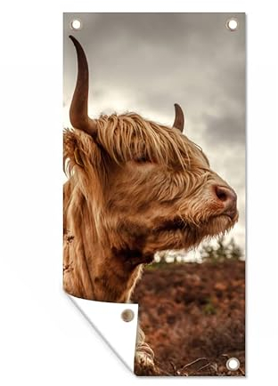 MuchoWow Outdoor-Poster Poster Wanddeko draußen Deko Garten Gartenposter 40x80 cm Scottish Highlander - Strauch - Heidekraut