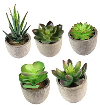 UPKOCH 5piezas Plantas Suculentas Maceta Decoración De Micropaisaje Simulación De para Escritorio