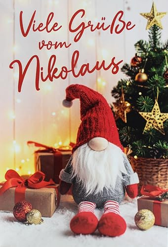 Mr Karte Nikolauskarte Weihnachtskarte Wichtel B6 Grusskarte mit Umschlag Nikolaustag 6 Dezember Weihnachtsgruss für Familie Freunde Kinder Kollegen Viele Grüsse vom Nikolaus