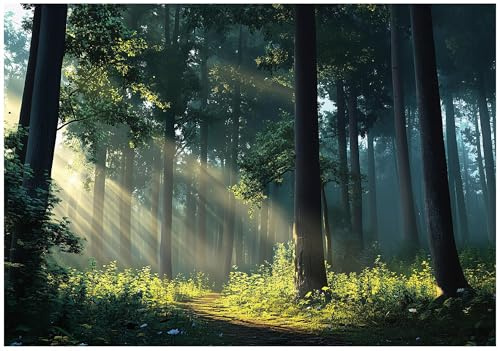 WallArena Vlies Fototapete, Wald, 350x250cm | Fototapeten - Tapeten - für Wohnzimmer Schlafzimmer - Vliestapete Wandtapete Tapete 3D Effekt- inkl. Kleister