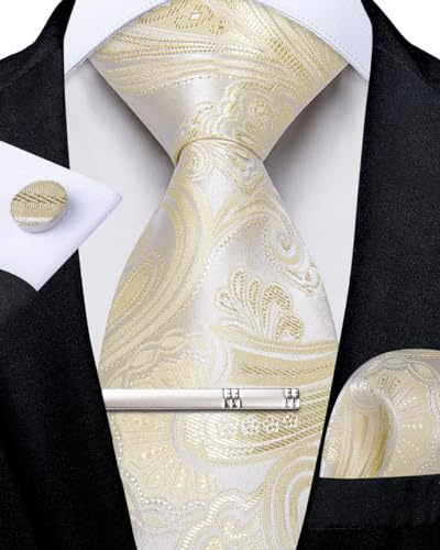 DiBanGu Herren Seide gewebte Krawatte Paisley Floral Krawatte Set mit Einstecktuch Manschettenknöpfe Krawattenklammer für Hochzeit Business, Champagner Paisley, Einheitsgröße