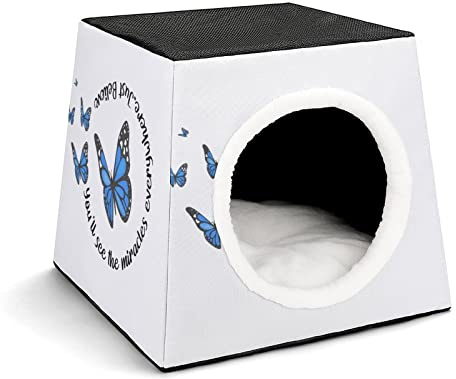 Three-Purpose Cat House Cat Bed Cat Sofa Printed Cat Cube Indoor Outdoor Kitty Shelter Blue Butterfly