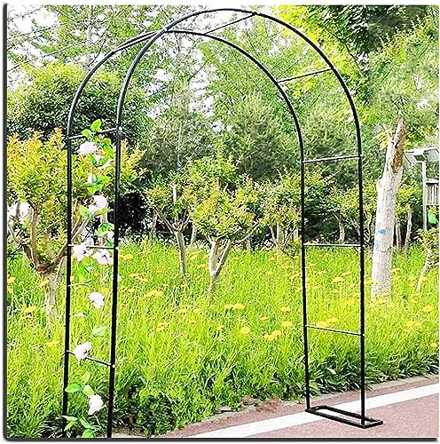 Generisch Metal Garden Arch, Rose Arch for Roses, Climbing Plant Support, Wedding Arch, Extra Tall Pergola Trellis, Grapevine Arbour for Climbing Plants (W120cm x H220cm)
