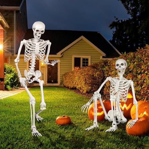 SIFOEL Sculpture de squelette d'Halloween 165cm grandeur nature posable squelette humain en os avec articulations mobiles pour décoration maison hantée d'Halloween (2 pièces)