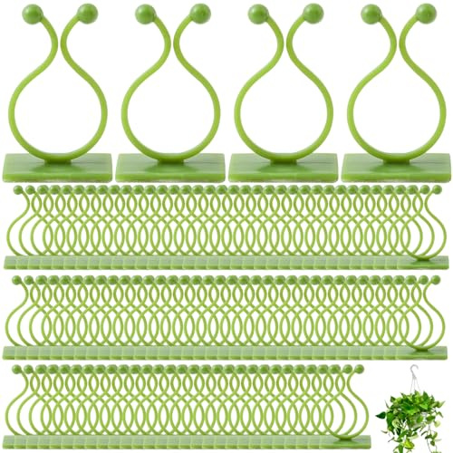 Ameble Clips muraux pour Plantes 100 pièces Clips de Vigne adhésifs forts pour Plantes grimpantes Support Mural Invisible sans perçage pour Pothos décoration intérieure Gestion des câbles