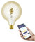 EGLO connect.z Smart-Home LED Leuchtmittel E27, G125, ZigBee, App und Sprachsteuerung Alexa, dimmbar, Lichtfarbe einstellbar (warmweiß-kaltweiß), 360 Lumen, 5 Watt, Vintage-Glühbirne amber