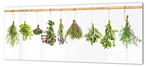 Concept Crystal Toughened Printed Glass backsplash - Kitchen Wall splashback Flowers&Plants Series BBS04B: