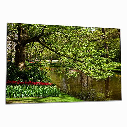 Wallario Herdabdeckplatte/Spritzschutz aus Glas, 1-teilig, 80x52cm mit 8 mm hohen Füßen, für Ceran- und Induktionsherde, Bunte Blumen im Park am Wasser - Frühblüher am Ufer