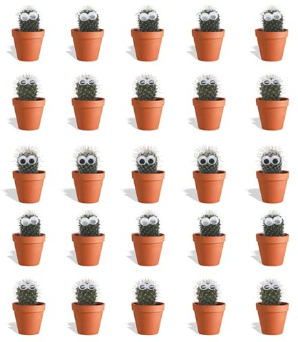 DutchLeafs Mini-Kakteen mit Augen Mix 20 Stück im Ø 7 cm Terrakotta Blumentopf - Kleine Pflanzen Mischung Kakteen Starter Set Pflegeleichte Zimmerpflanzen - Höhe 8-15 cm