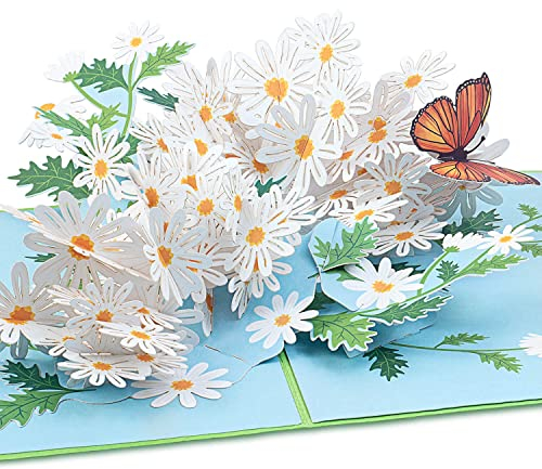 papercrush® Pop-Up Karte Blumen „Gänseblümchen mit Schmetterling“ - 3D Blumenkarte für Frauen (best Freundin, Kollegin), Glückwunschkarte zum Geburtstag für Mama und Oma, Gutscheinkarte für Gärtnerin