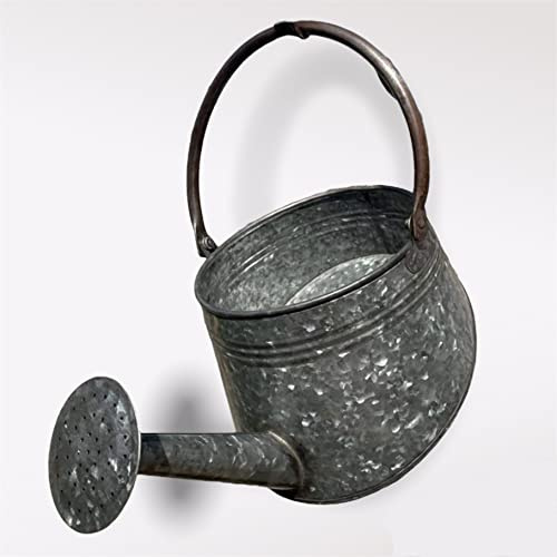 Maceta de pared colgante de zinc galvanizado para regadera | Maceta de metal para jardín al aire libre 257