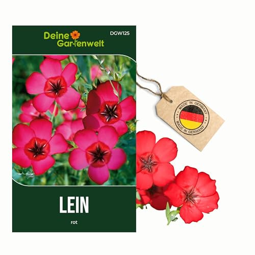 Lein rot Samen - Linum grandiflorum - Leinsamen - Blumensamen - Saatgut für 70 Pflanzen