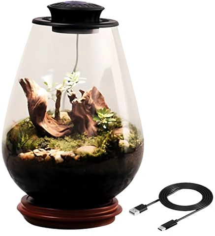 UFO LED Grow Light Glass Plant Terrarium Mini écosystème avec mousse, 5 V/2 A Lumière noire pour décoration de maison ou de bureau